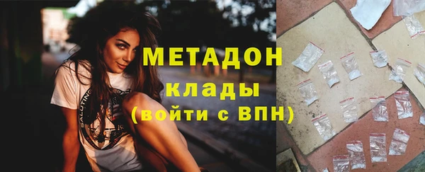 стаф Алзамай
