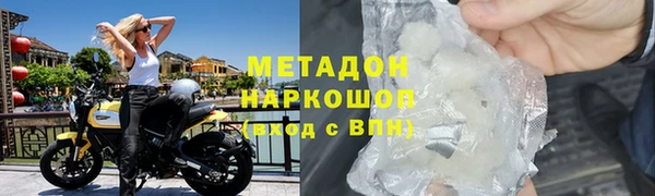 стаф Алзамай