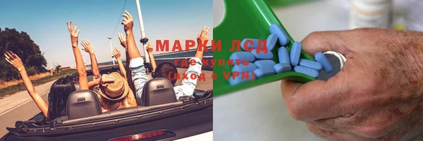 стаф Алзамай