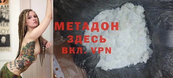 стаф Алзамай